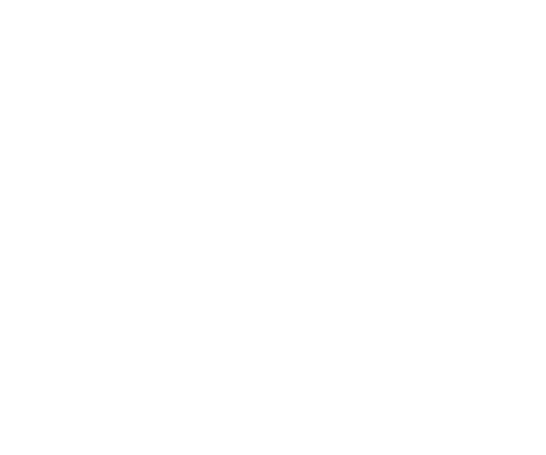 Swiss Volunteers